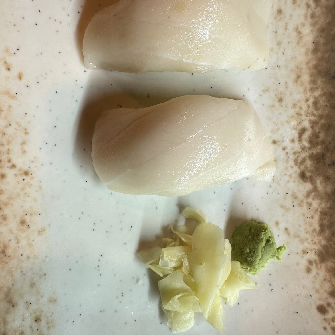 Albacore.